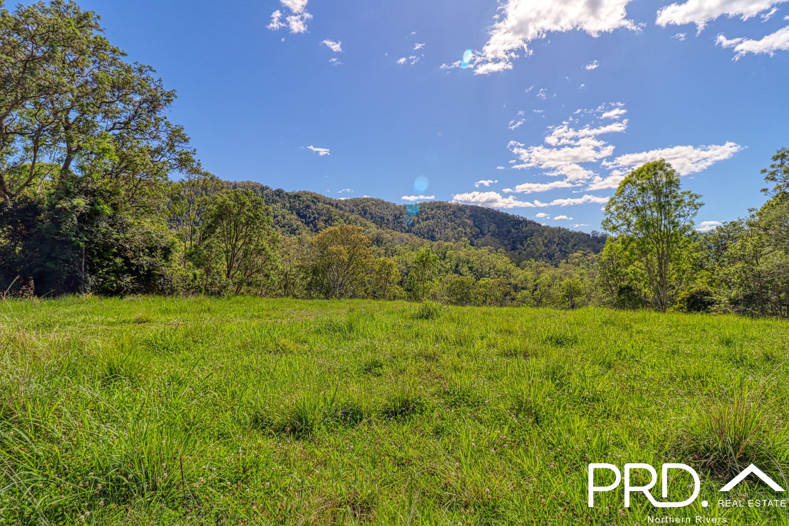 279 Sawpit Creek Road SAWPIT CREEK 25