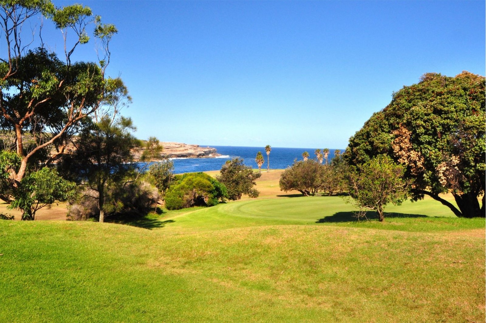 27A Lucas Avenue MALABAR 10