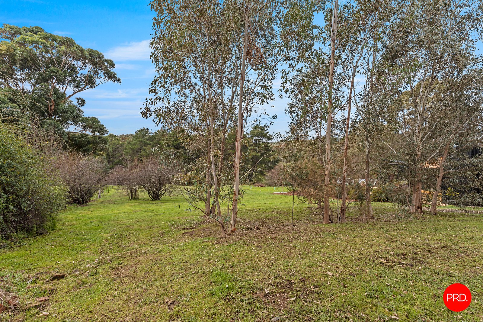 28 Albert Street CHEWTON 4