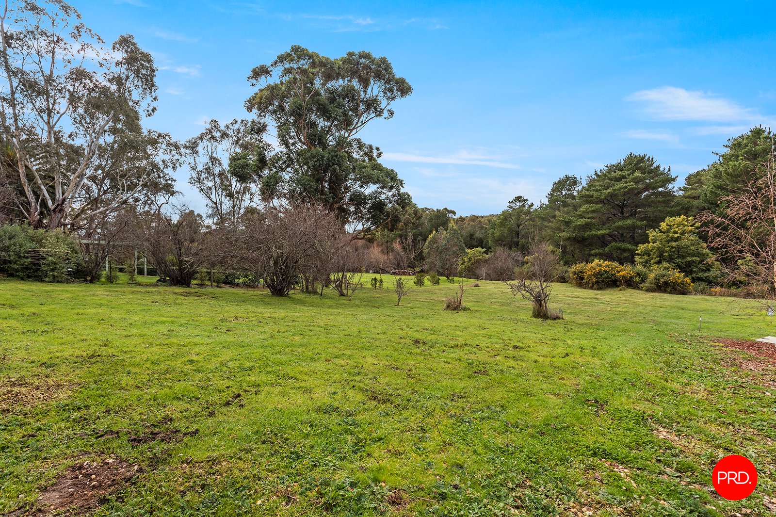 28 Albert Street CHEWTON 5