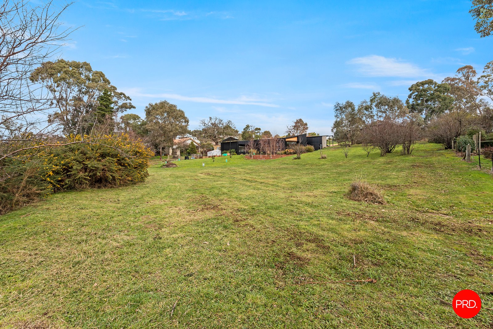 28 Albert Street CHEWTON 7