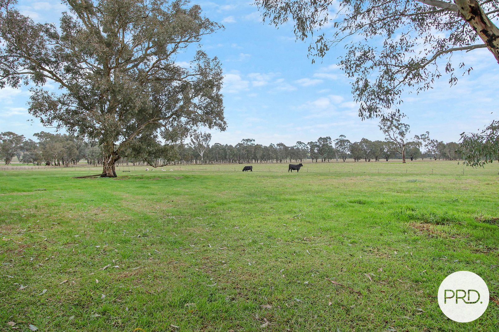 28 Beach Road East  BURRUMBUTTOCK 20