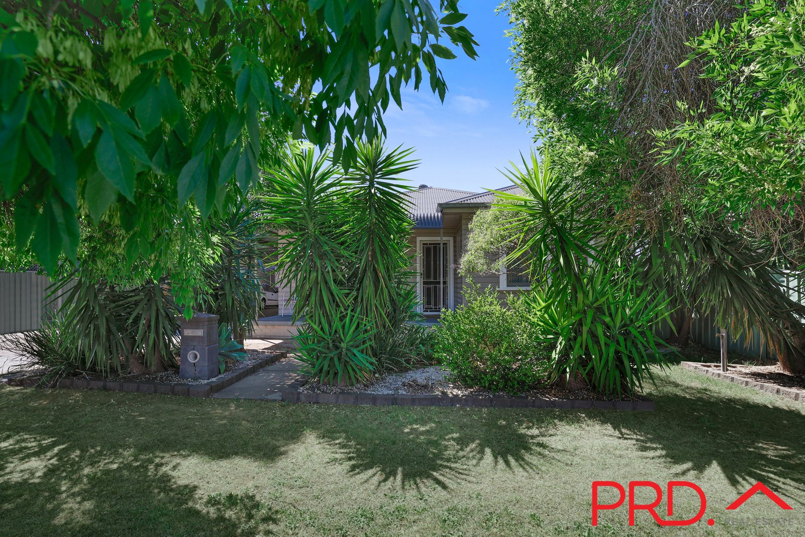 28 Diane Street TAMWORTH 23