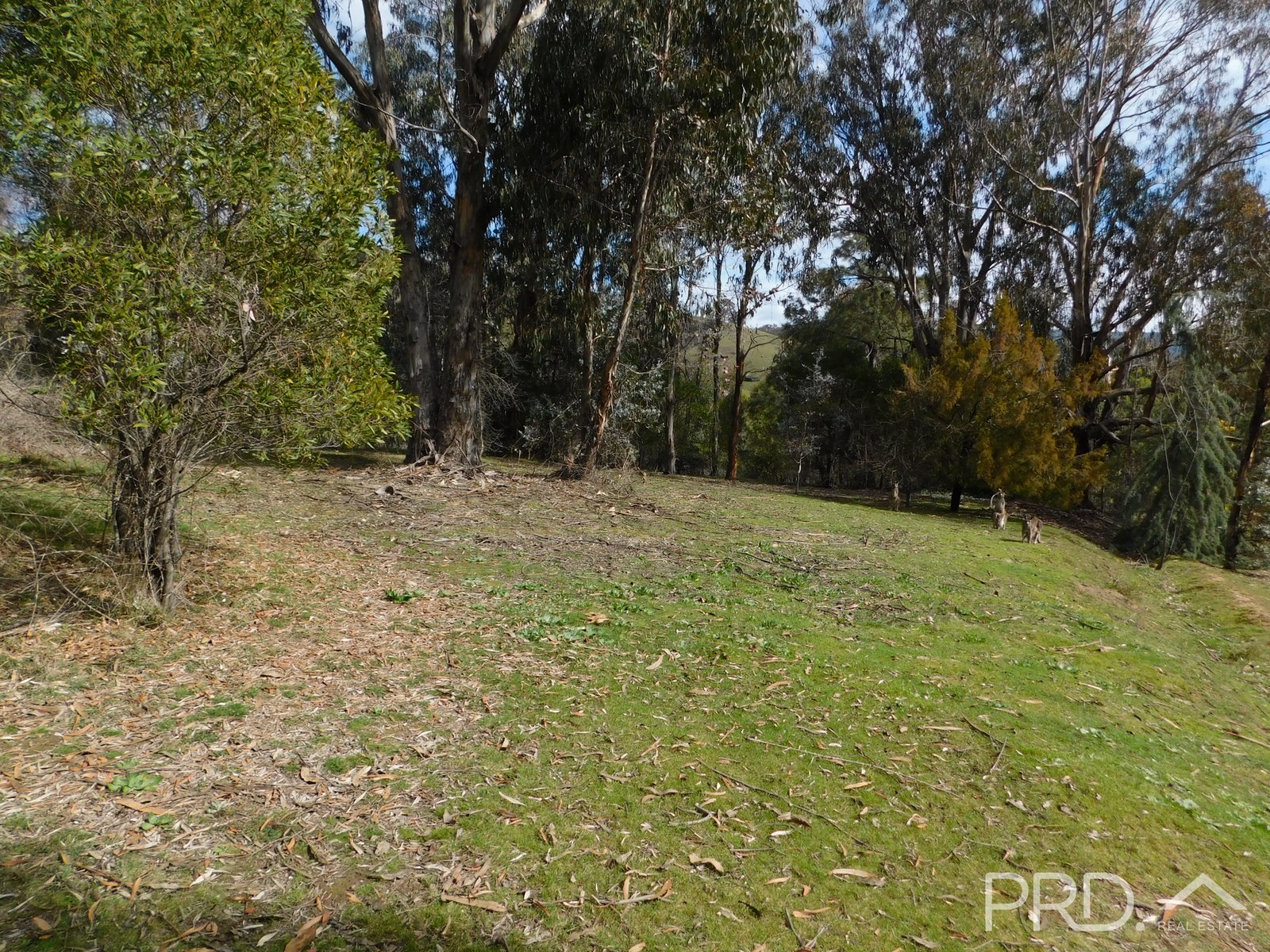 28 Elizabeth Avenue TALBINGO 1