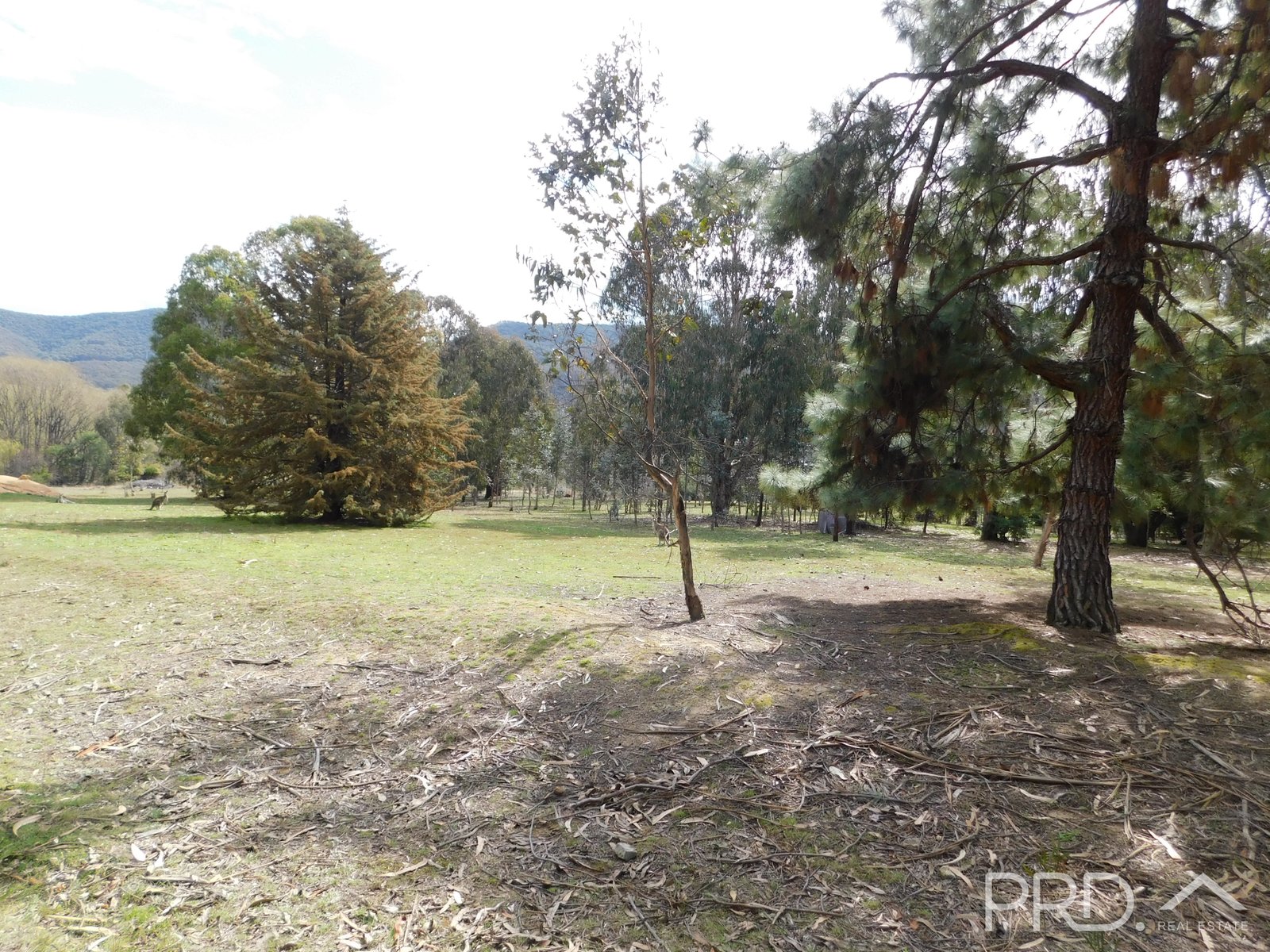 28 Elizabeth Avenue TALBINGO 3