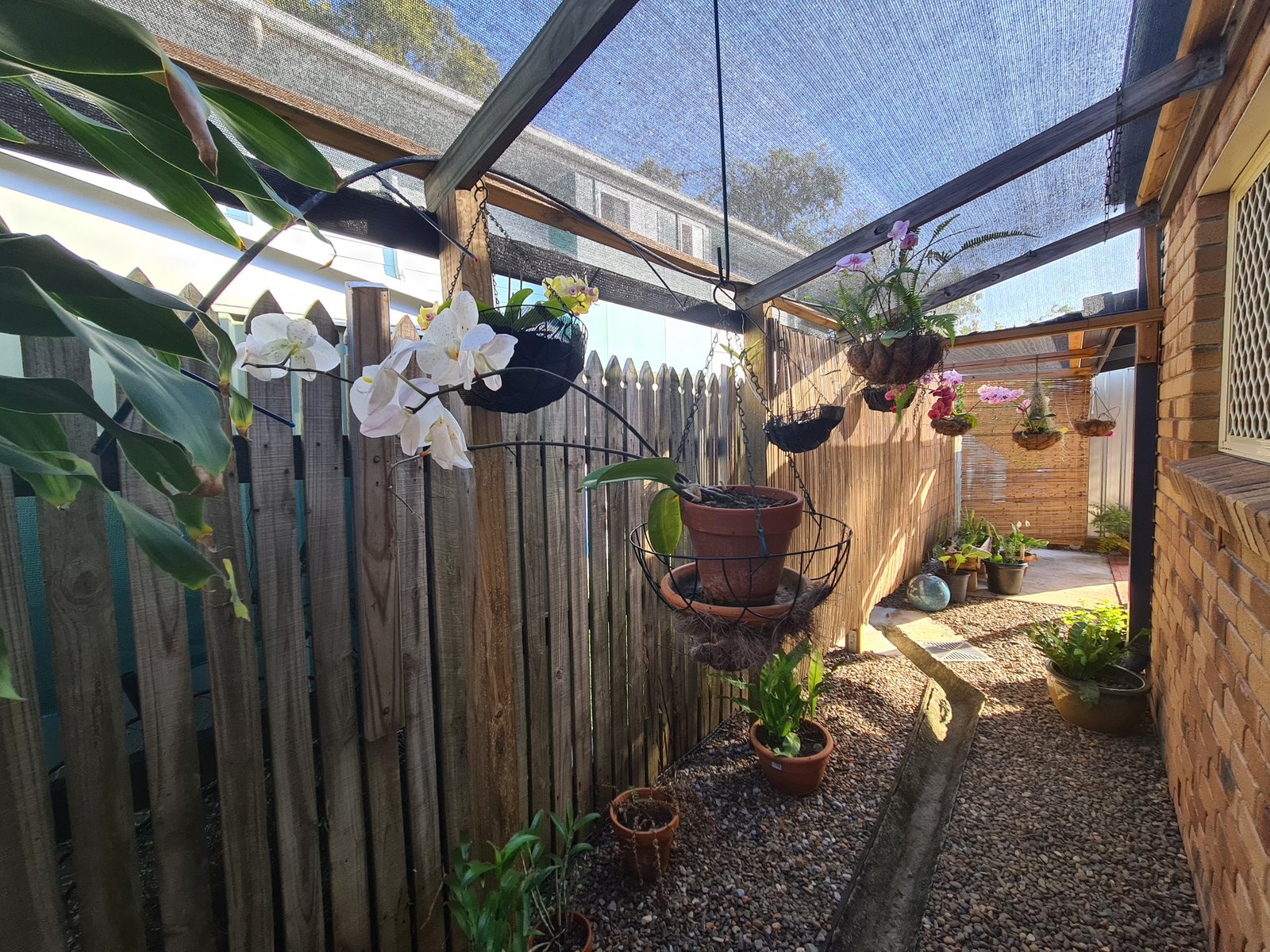 2/8 Elizabeth Street TANNUM SANDS 24