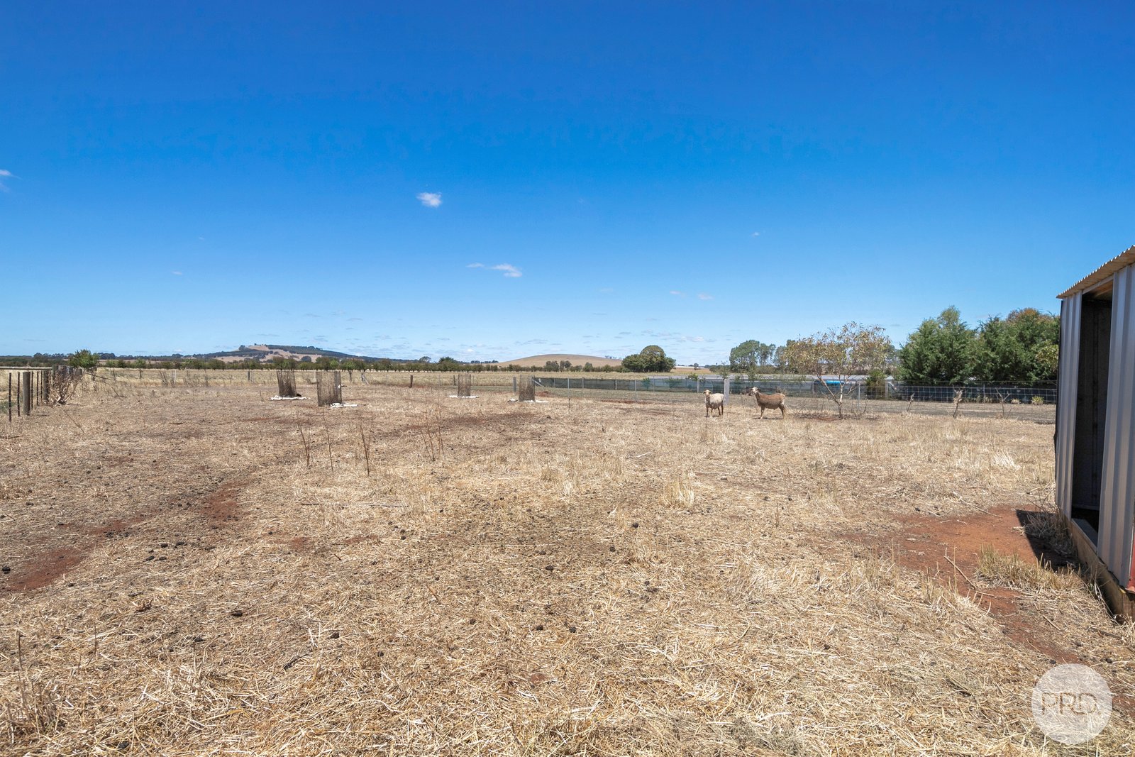 28 Frederick Street SMEATON 21