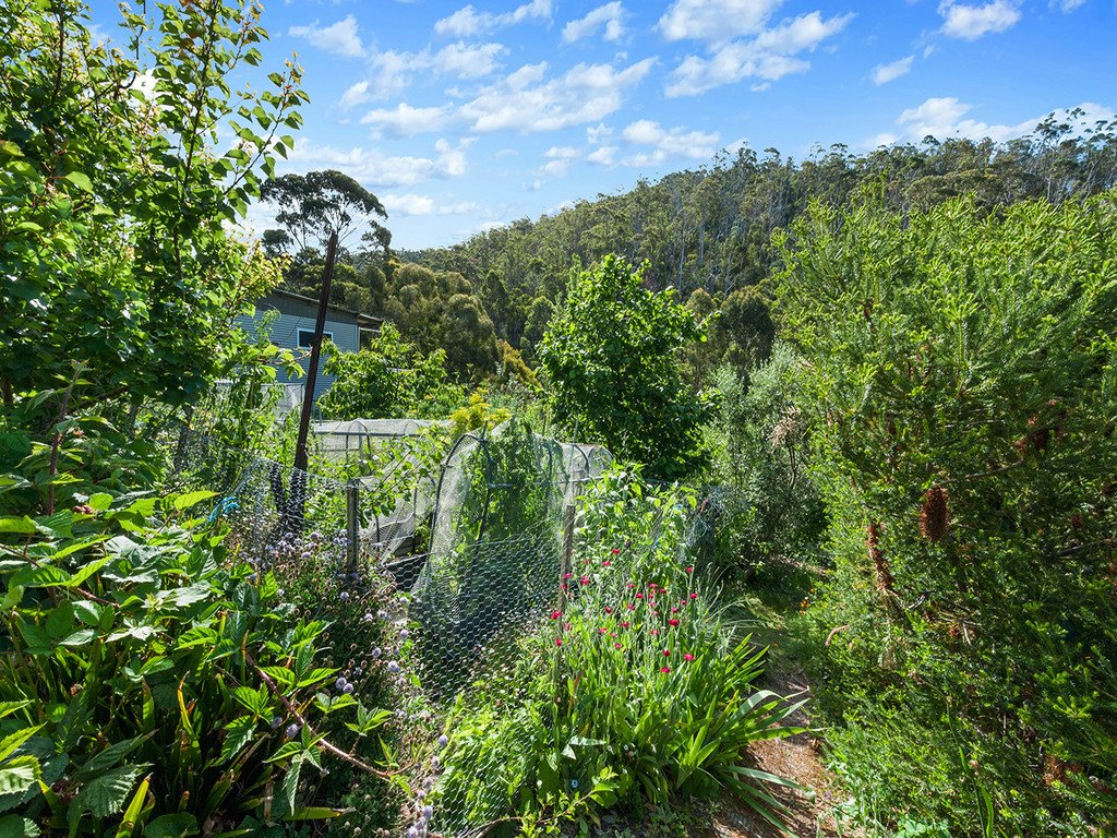 28 Glenlusk Road BERRIEDALE 16