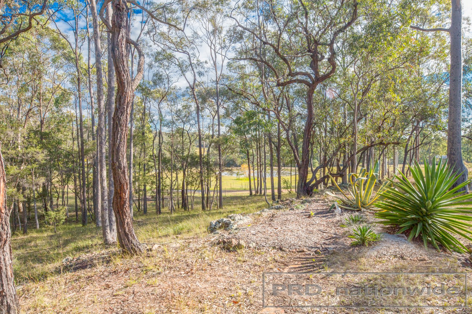 28 Lindsay Road NORTH ROTHBURY 9