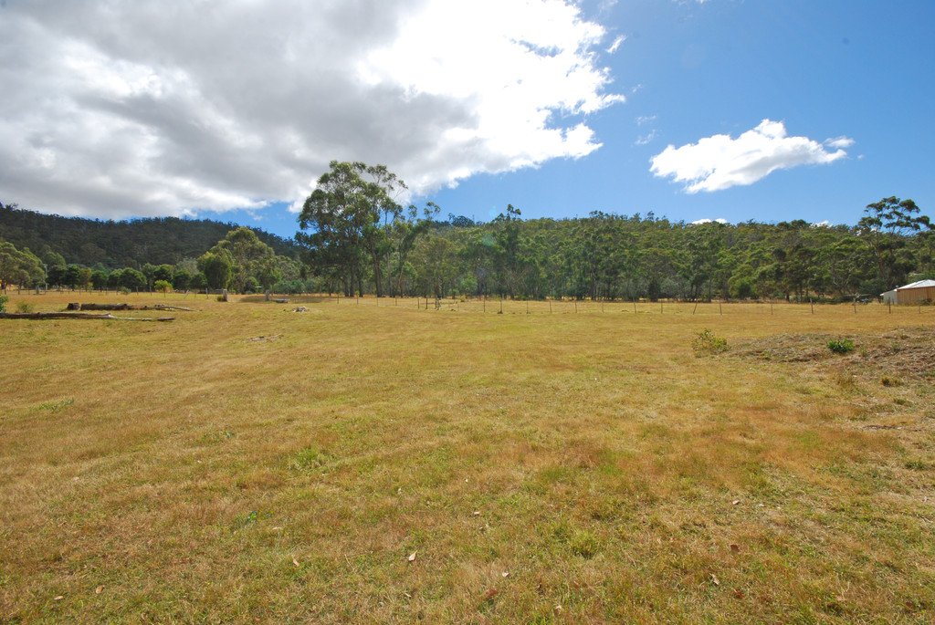 28 Mapley Road LACHLAN 3