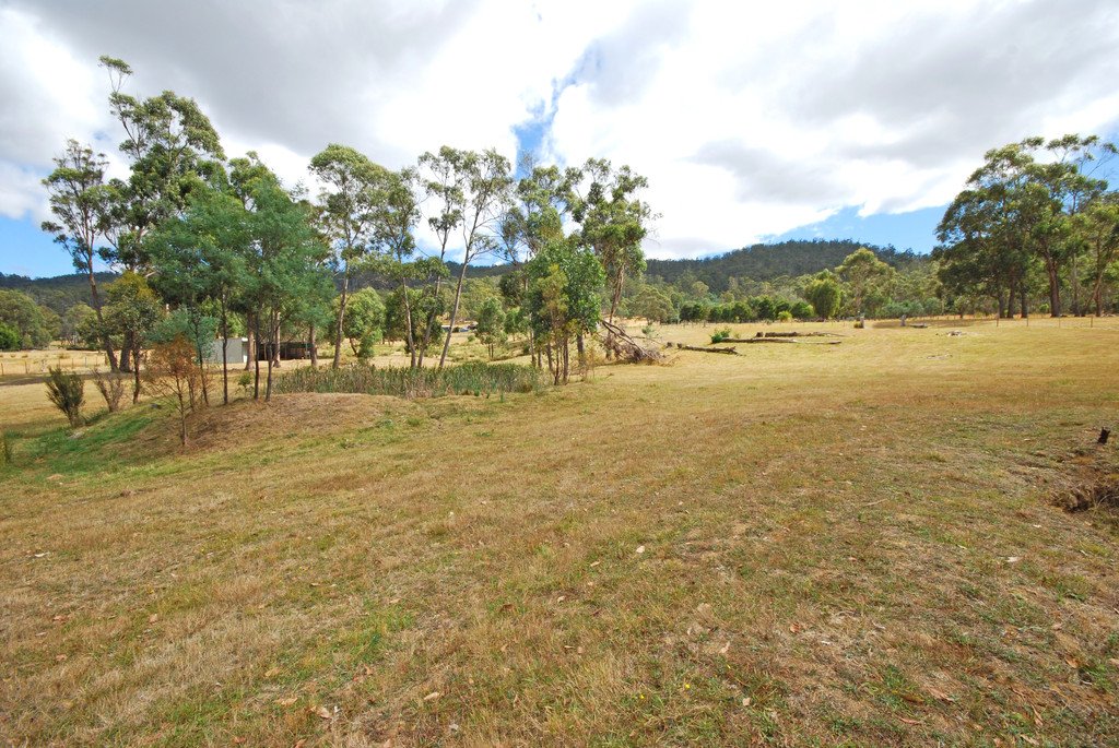 28 Mapley Road LACHLAN 8