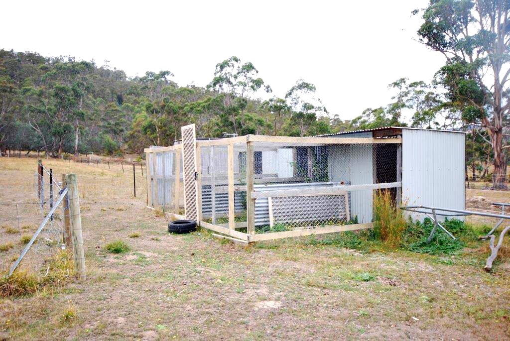 28 Mapley Road LACHLAN 9