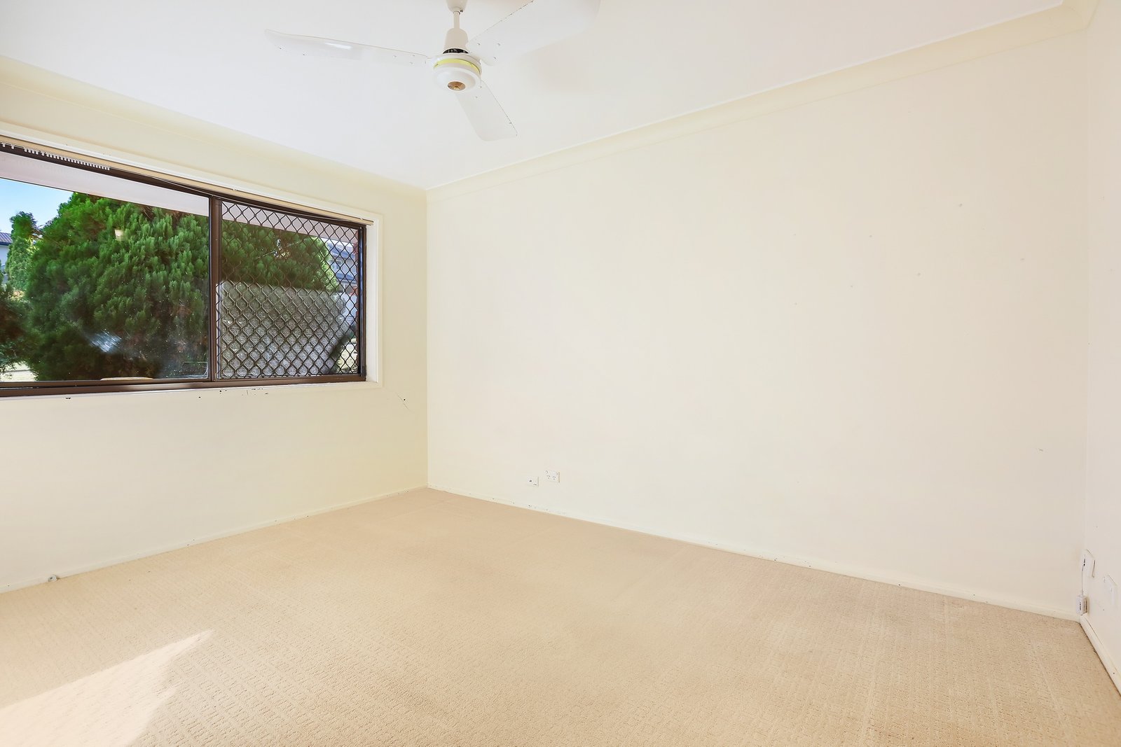 28 Maralinga Drive ASHMORE 10