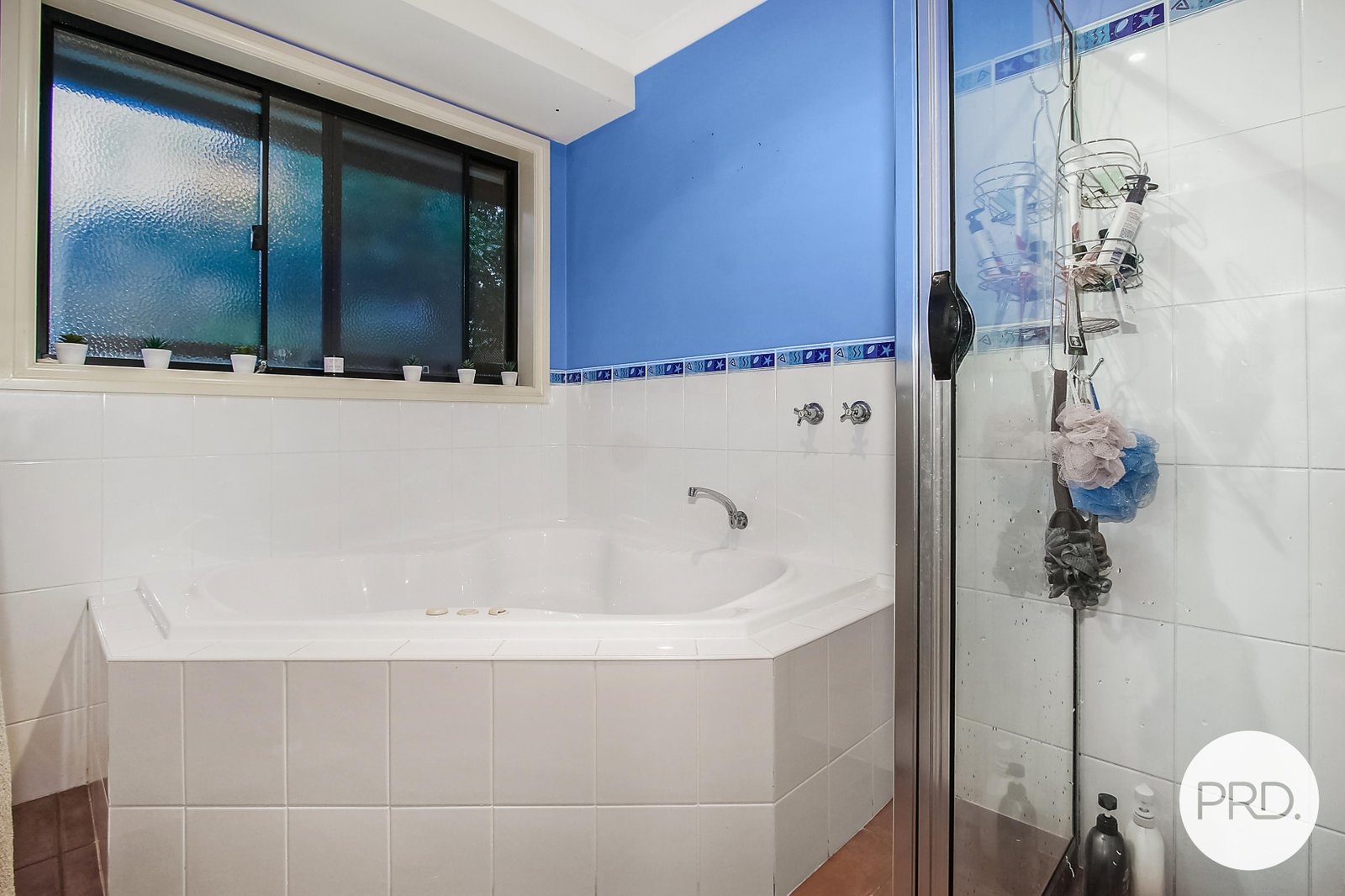 28 Payerl Court LAVINGTON 12