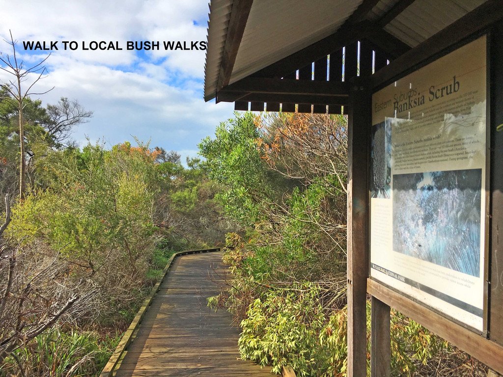 28 Reservoir Street LITTLE BAY 8