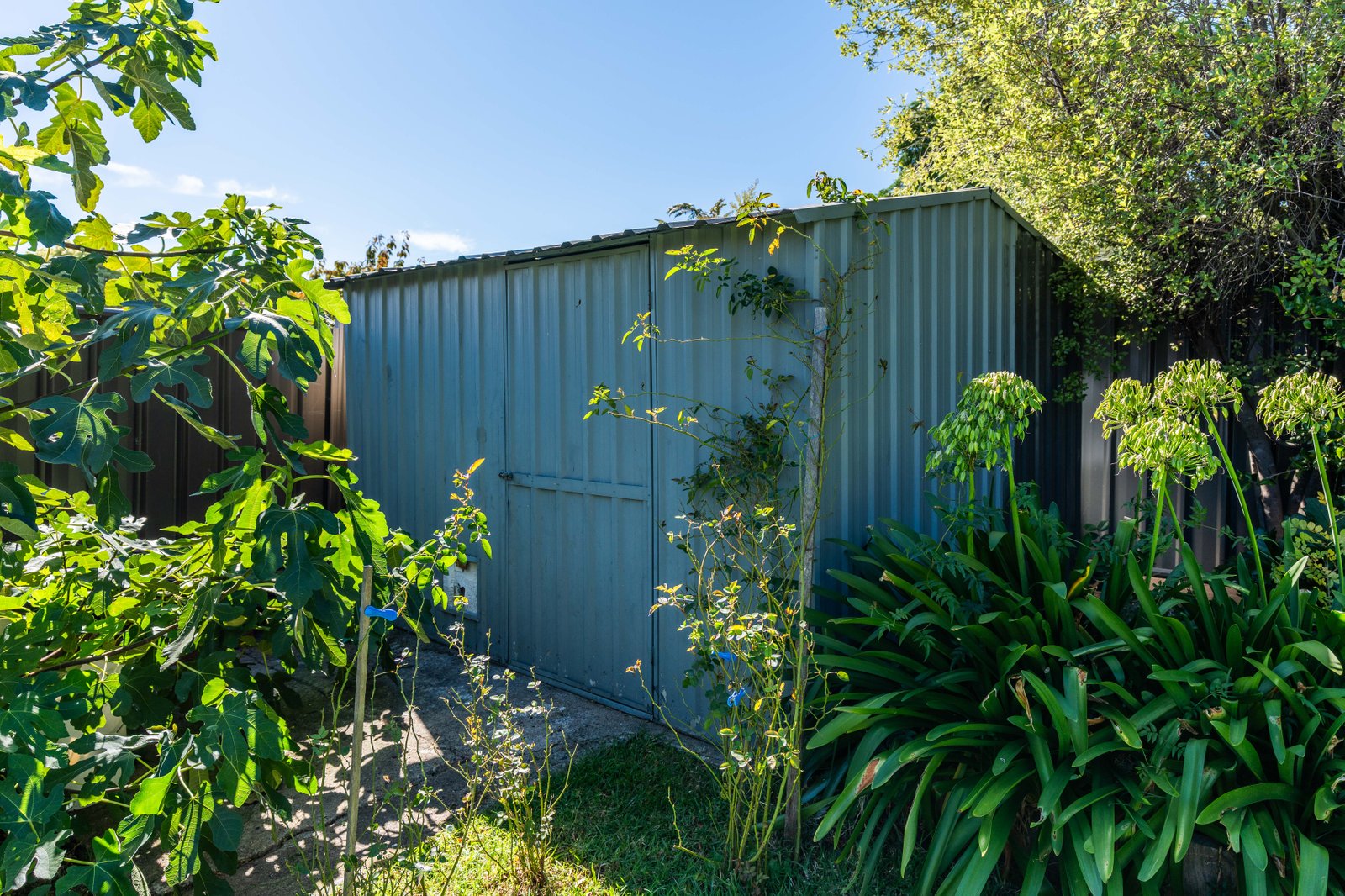 28 Seymour Street ORANGE 19