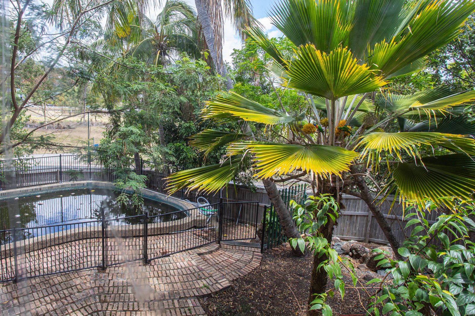 28 Stewart Drive CANNONVALE 15