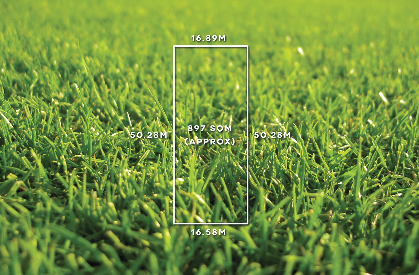 28 Sussex Street, Brighton, VIC