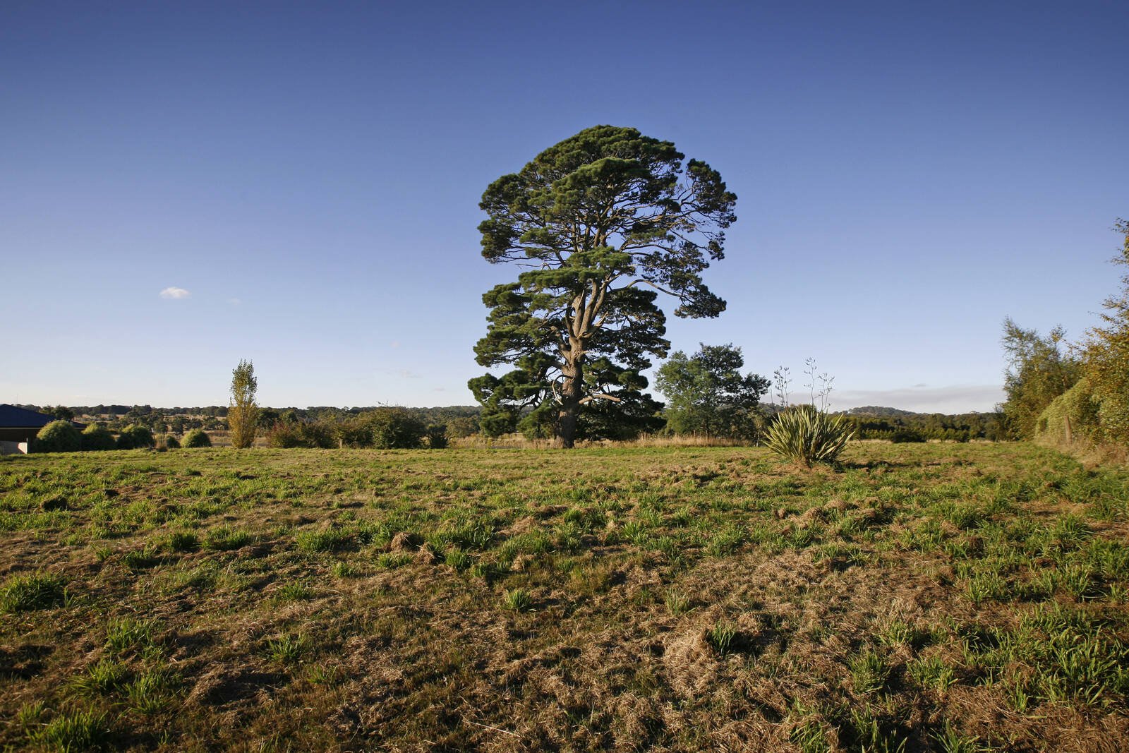 Real Estate and Property in 28 Tattersall Drive, Kyneton, VIC