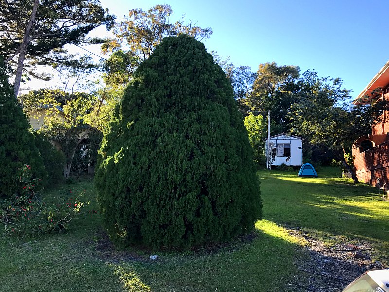 28 Tomaree Road SHOAL BAY 1