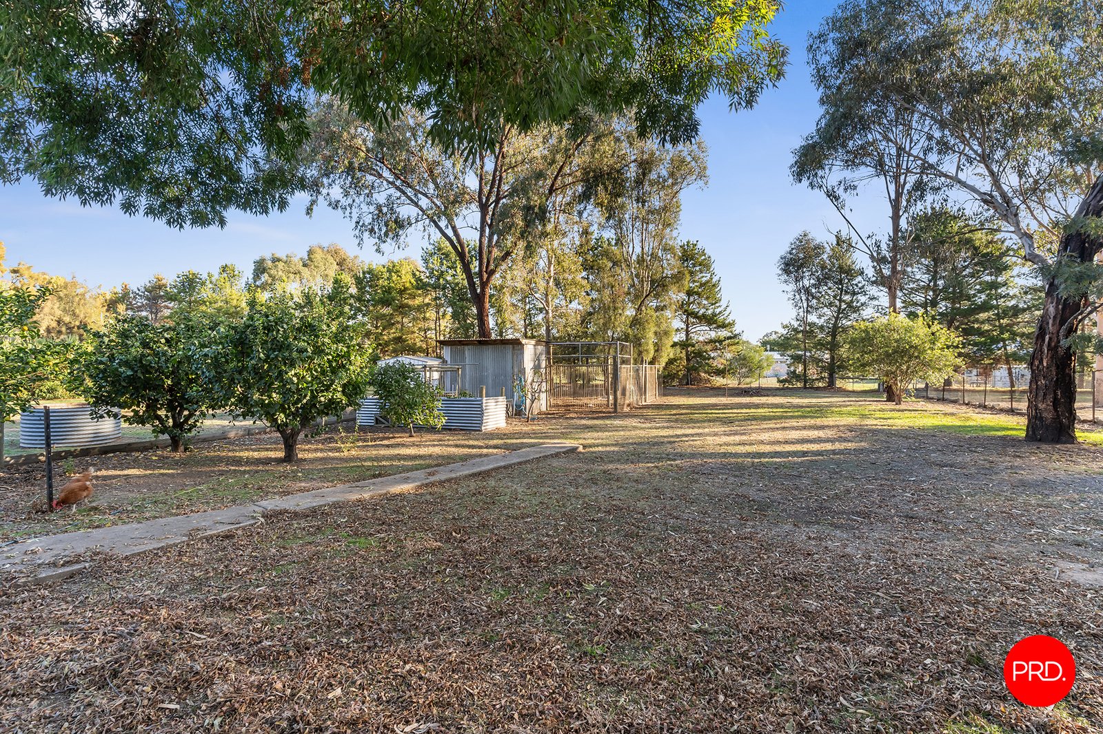 28 Tyler Street GOORNONG 20