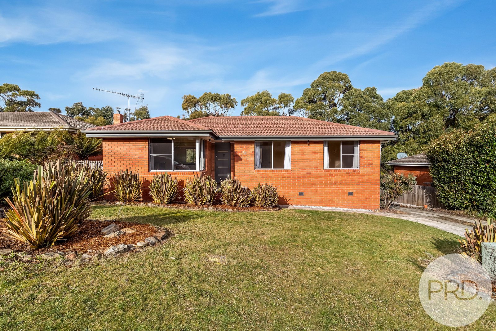 28 Waratah Street KINGSTON 1