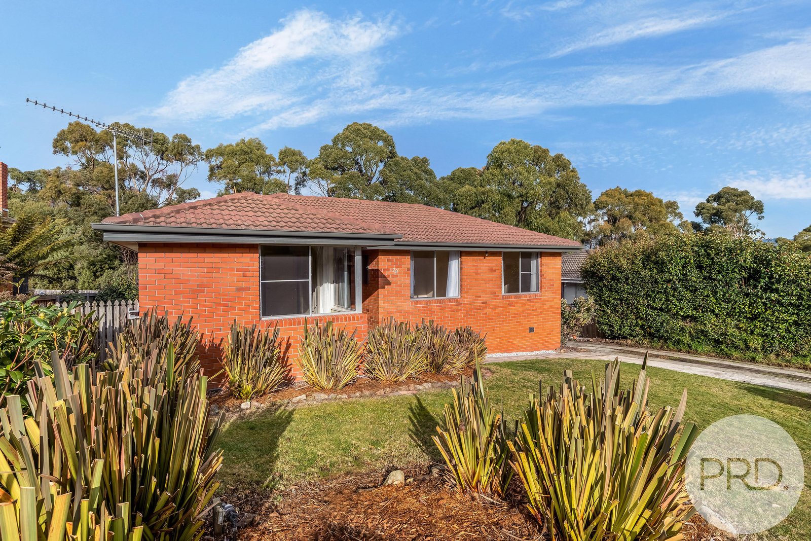28 Waratah Street KINGSTON 29
