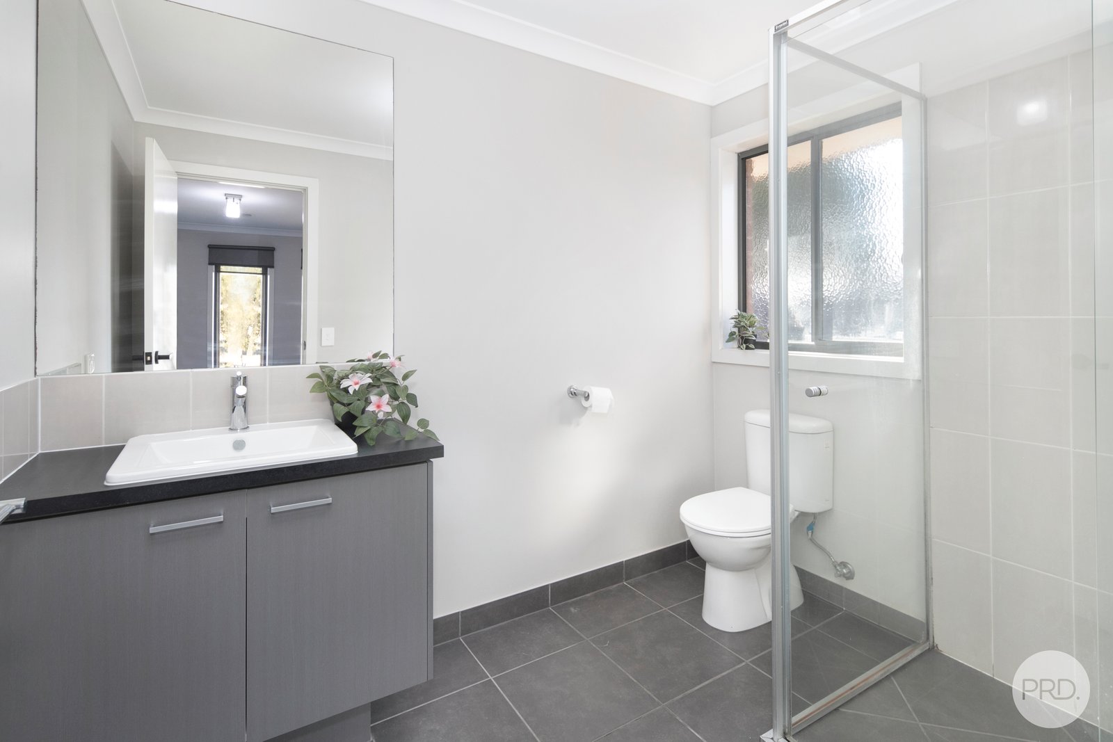 28 Wilmott Street LUCAS 4