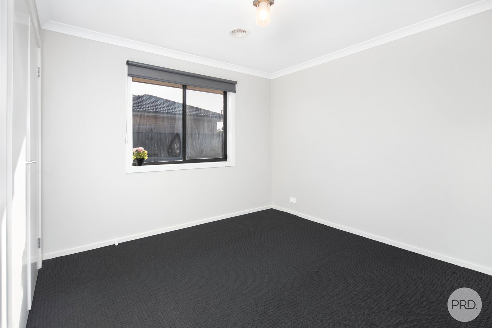 28 Wilmott Street LUCAS 12