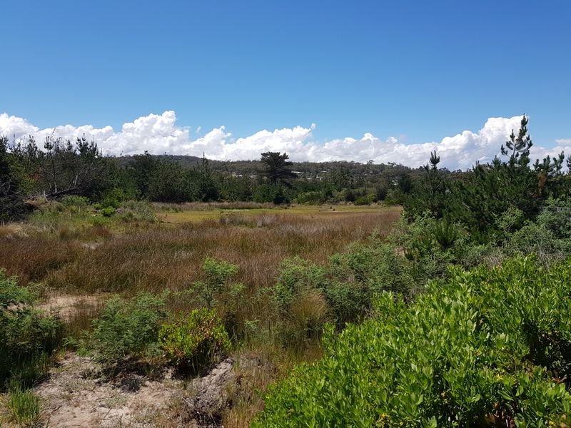 280 Carlton Beach Road CARLTON 2