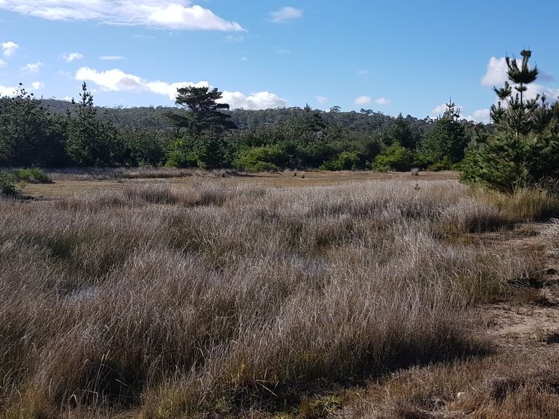 280 Carlton Beach Road CARLTON 4