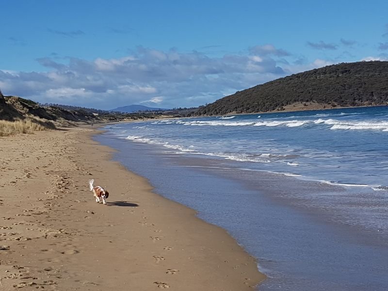 280 Carlton Beach Road CARLTON 5