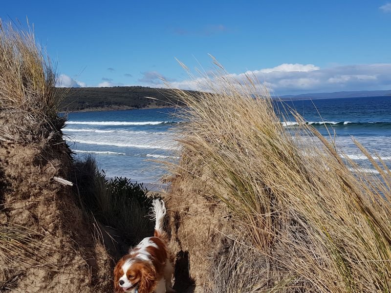 280 Carlton Beach Road CARLTON 6