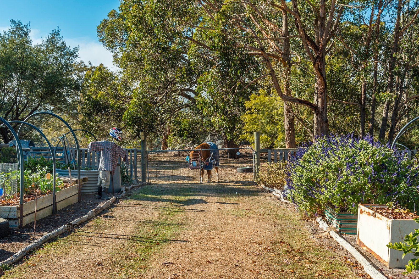 Real Estate and Property in 280 Prendergasts Road, Pastoria, VIC