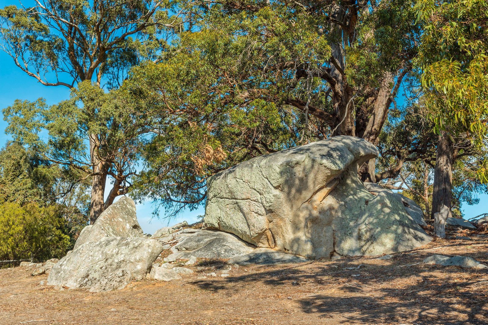 Real Estate and Property in 280 Prendergasts Road, Pastoria, VIC