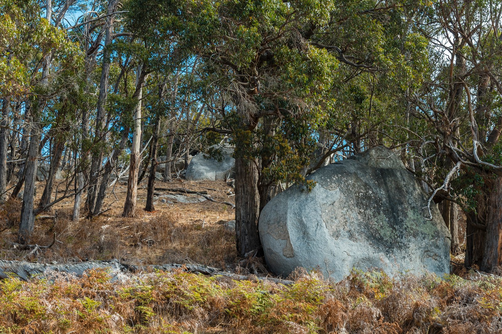 Real Estate and Property in 280 Prendergasts Road, Pastoria, VIC