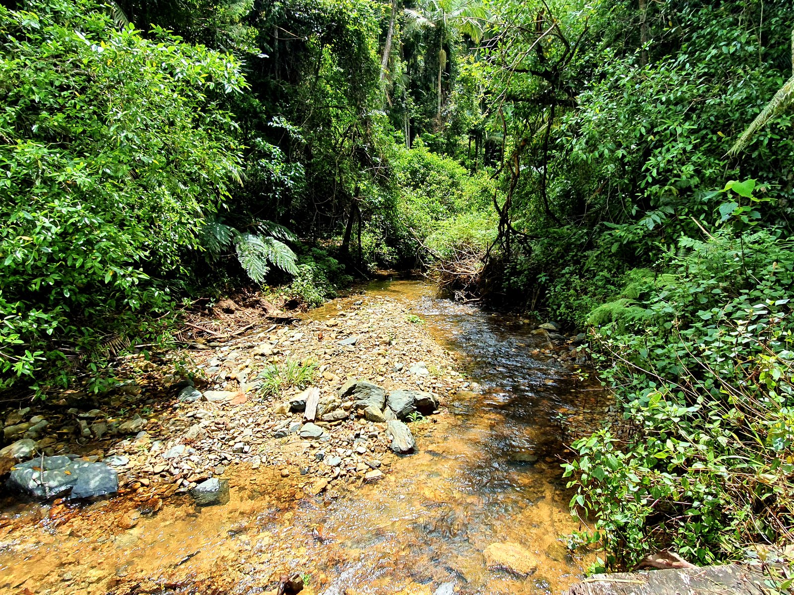 2/802 Dairyville Road UPPER ORARA 10