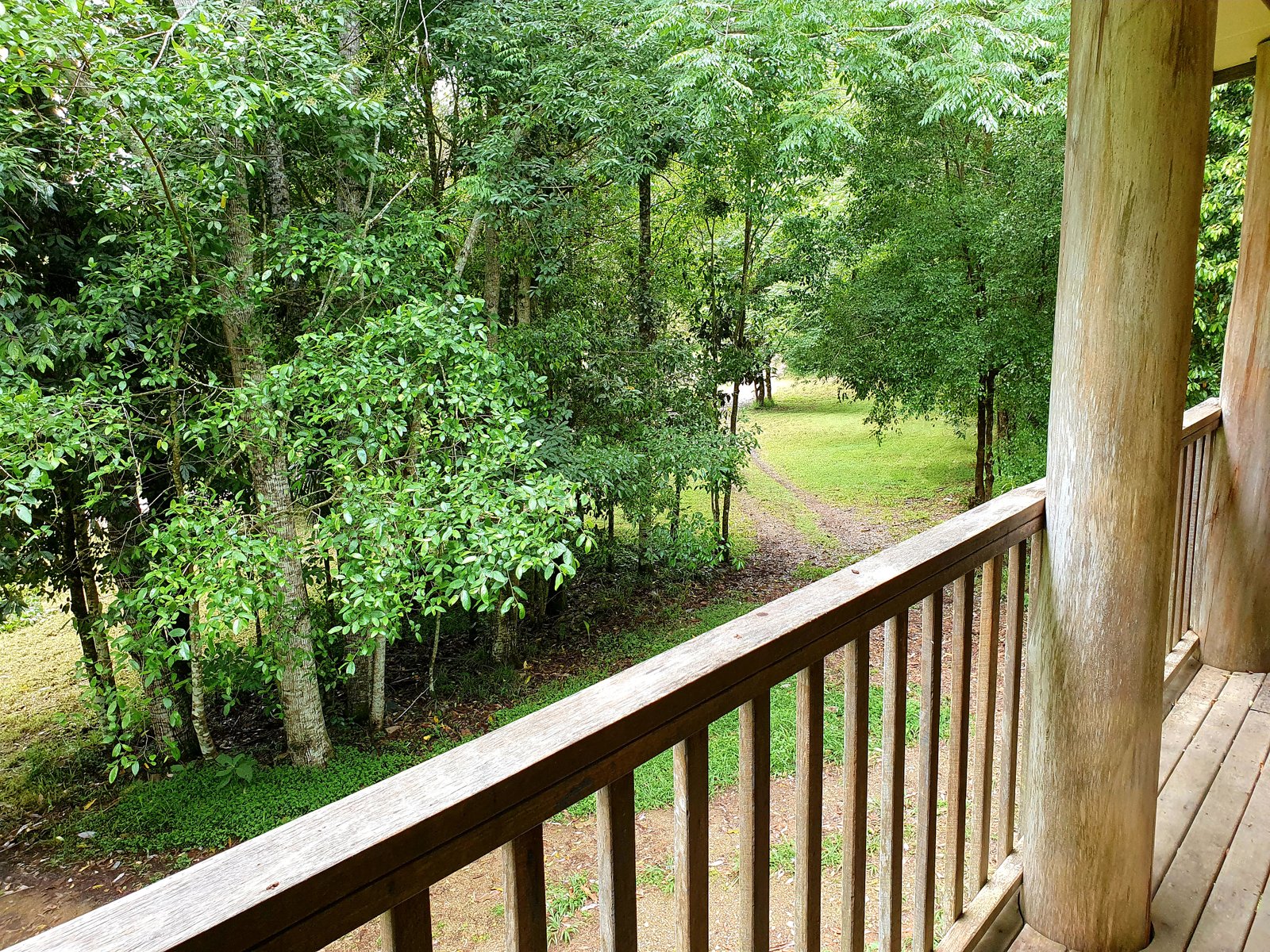 2/802 Dairyville Road UPPER ORARA 11