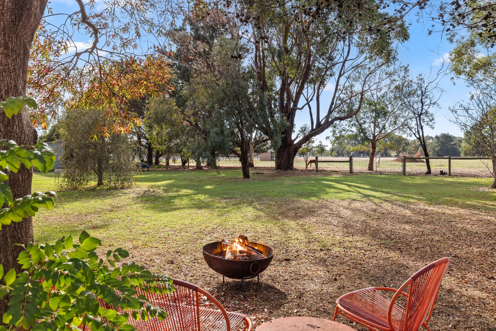 Real Estate and Property in 281 Rhinds Road, Wallington, VIC