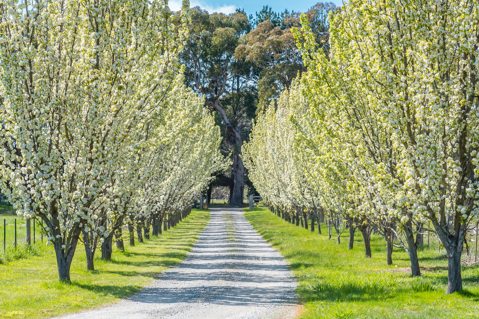 Real Estate and Property in 283 Redesdale Road, Kyneton, VIC