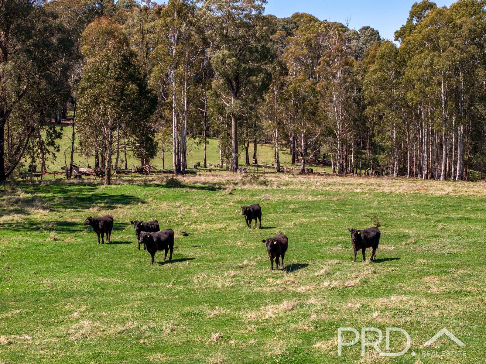 2836 - 2860 Batlow Road KUNAMA 3