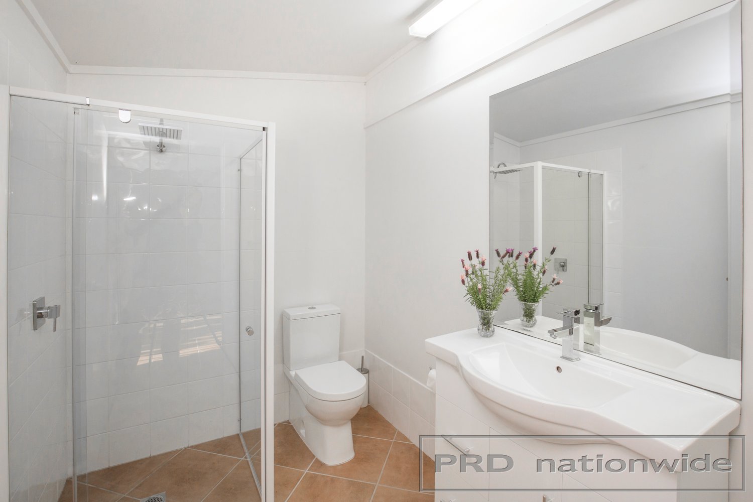 284 Gresford Road PATERSON 20