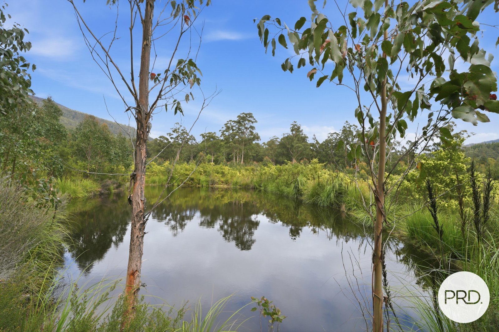 2847 Gordon River Road TYENNA 16