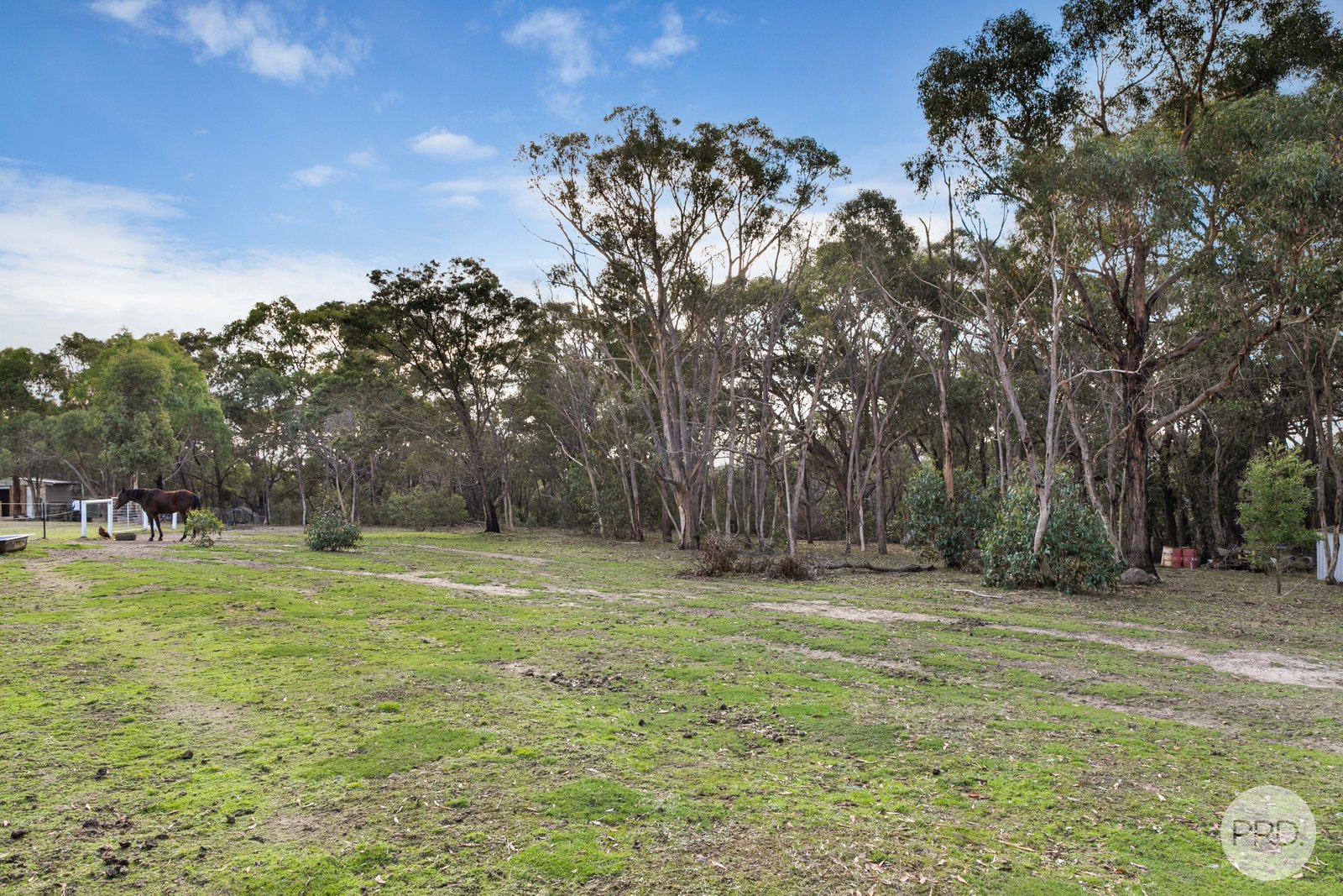 285 Tantaus Road DEREEL 19