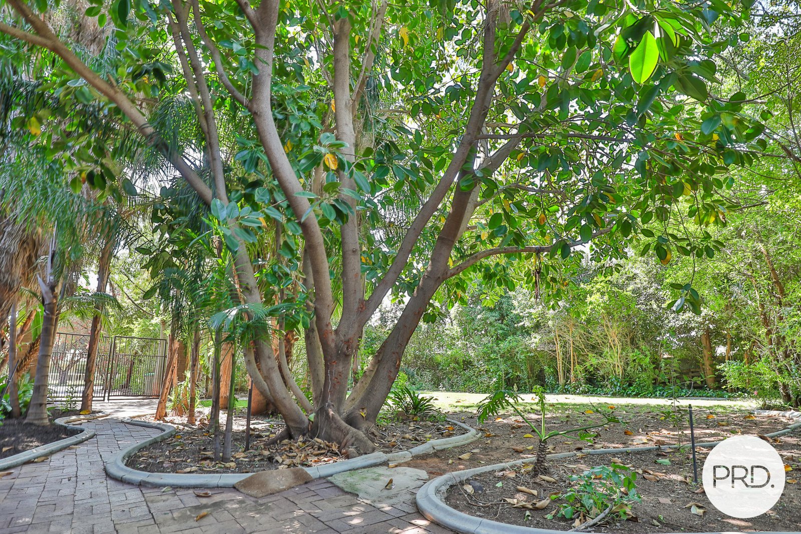 286 - 288 Walnut Avenue,  MILDURA 29