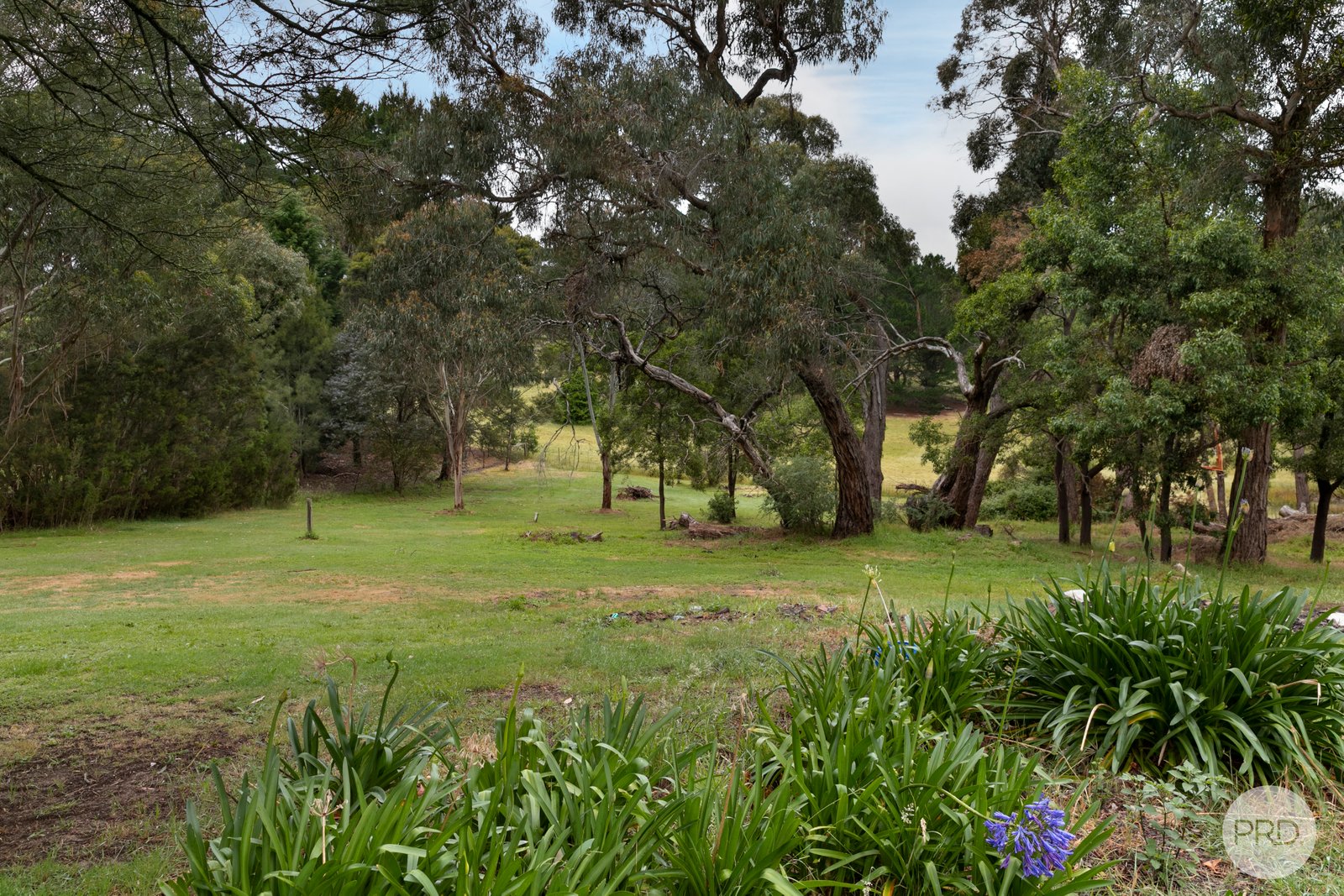 2869 Glenelg Highway LINTON 11