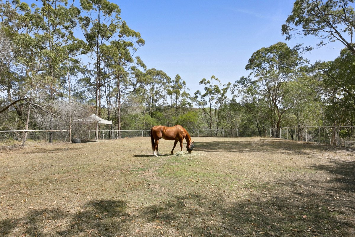 287 Trees Road Tallebudgera 5