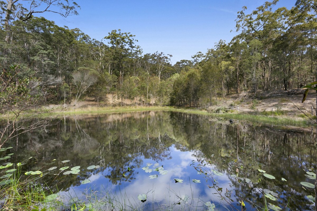 287 Trees Road Tallebudgera 20
