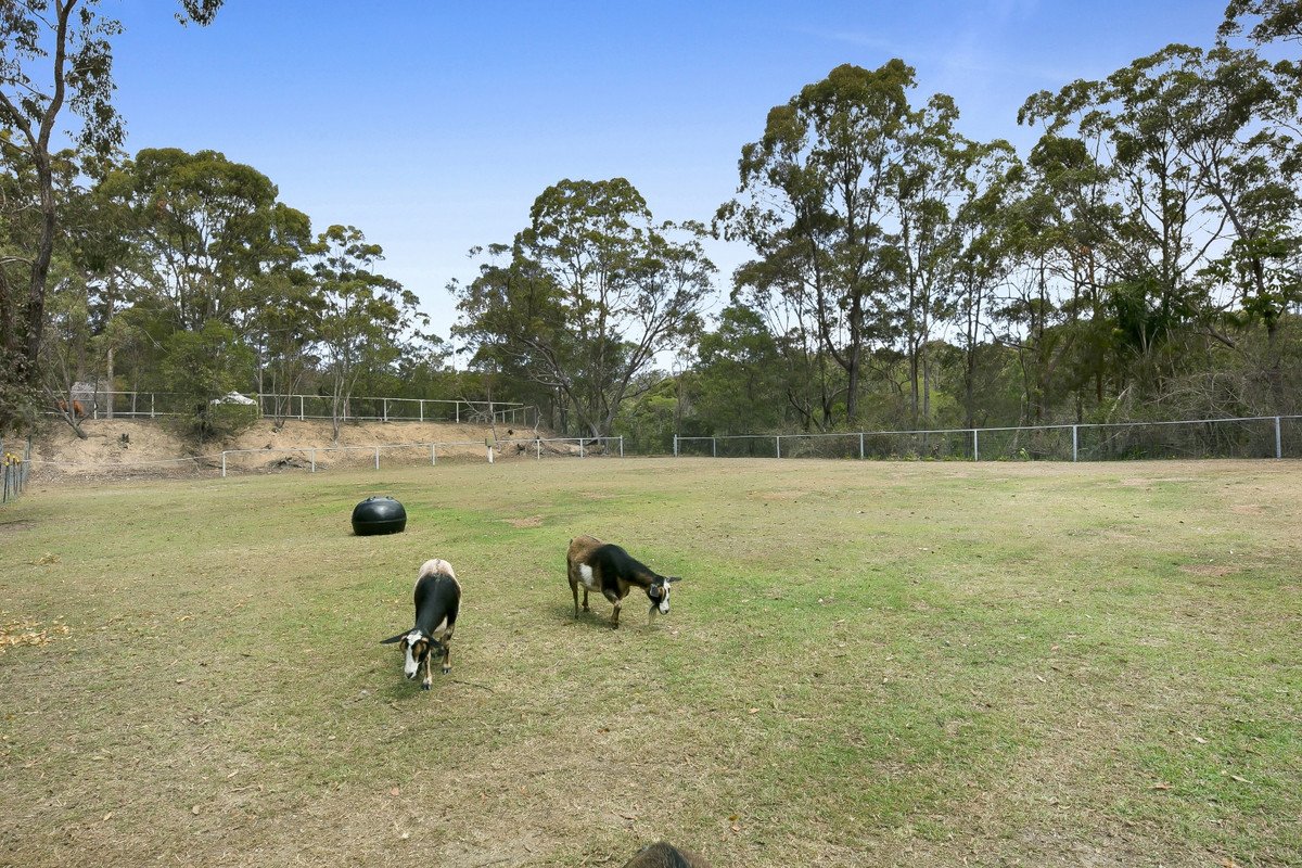 287 Trees Road Tallebudgera 21