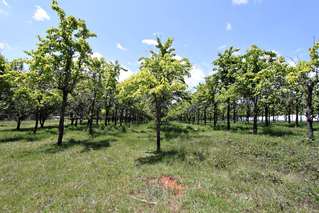 287 Willigobung Road TUMBARUMBA 14